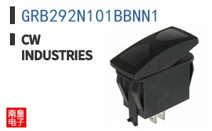 GRB292N101BBNN1 ͼƬ
